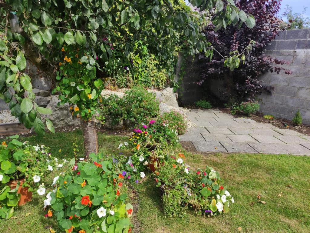 Glensheen Ennis Kültér fotó